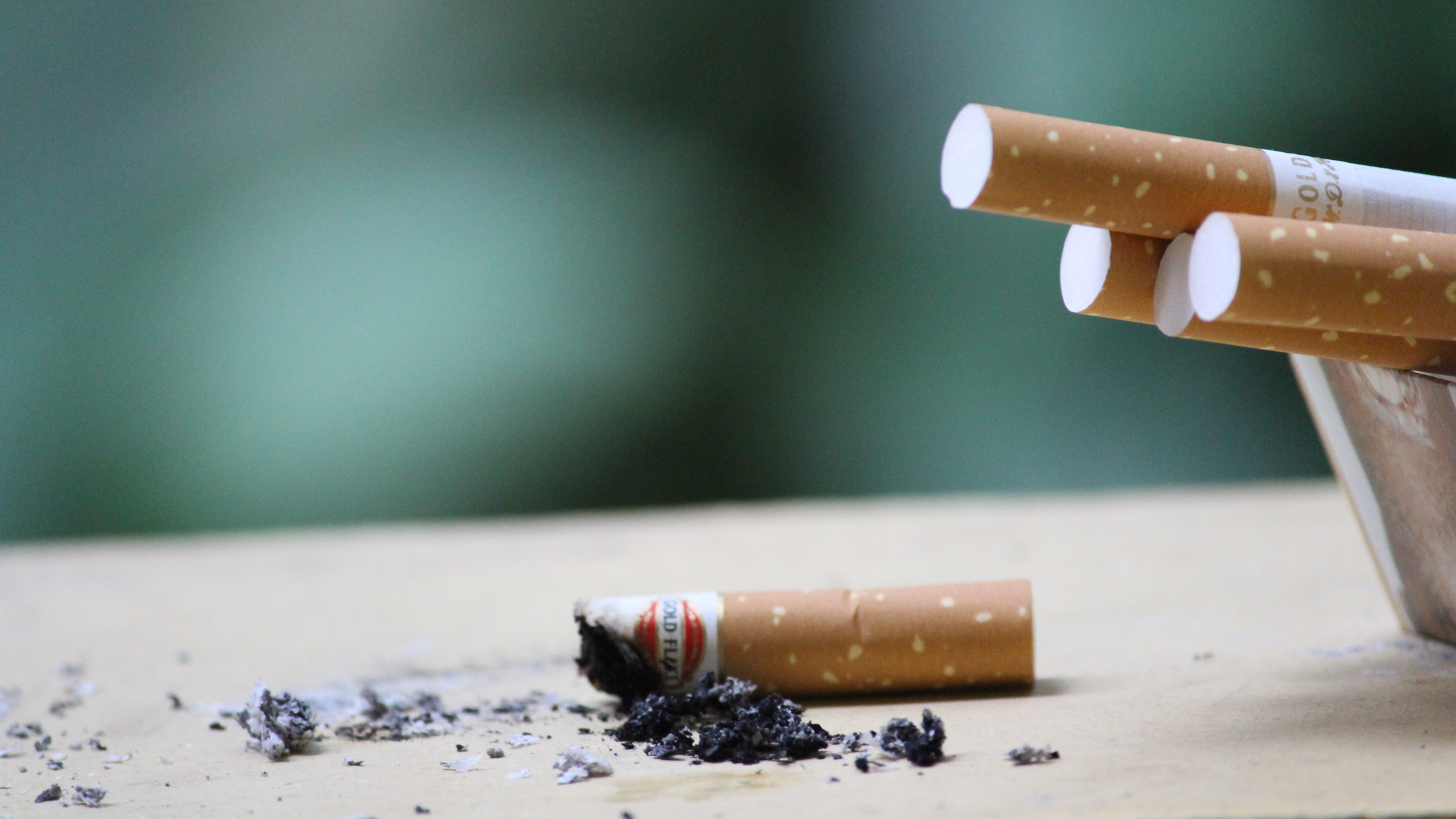 Des cigarettes aux dtecteurs de fume : pourquoi les fumeurs devraient  prter une attention particulire  la scurit incendie  ASK THE FOX