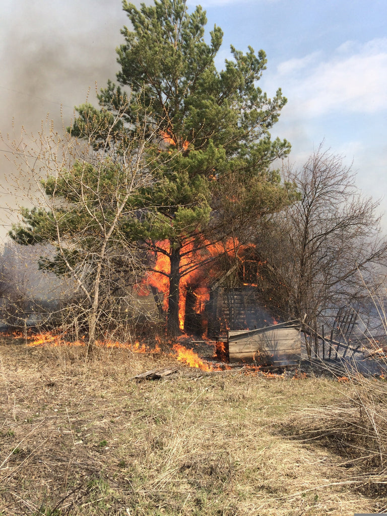 Intelligenter Brandschutz ist Umweltschutz